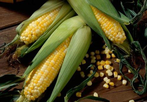 娱乐吃瓜酱玉米,揭秘娱乐圈那些鲜为人知的幕后故事 第2张 娱乐吃瓜酱玉米,揭秘娱乐圈那些鲜为人知的幕后故事 第2张