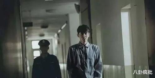 2015娱乐圈吃瓜盘点,年度大瓜盘点，揭秘明星幕后故事